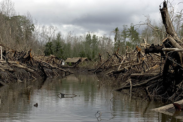 The Curse of Black Gold: Environmental and human impact of oil extraction in Niger Delta, Nigeria