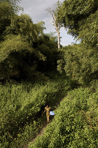 Women Health Workers: A woman walks along a path in rural Africa