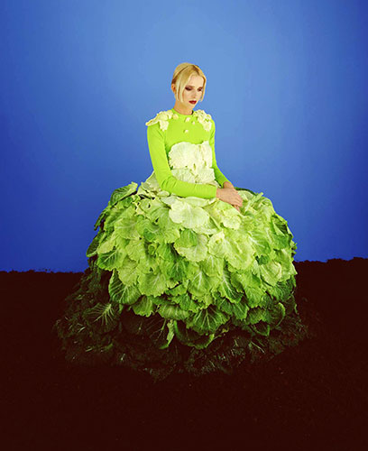 Photography Auction: Photography Auction in aid of The Samoan Tsunami Appeal