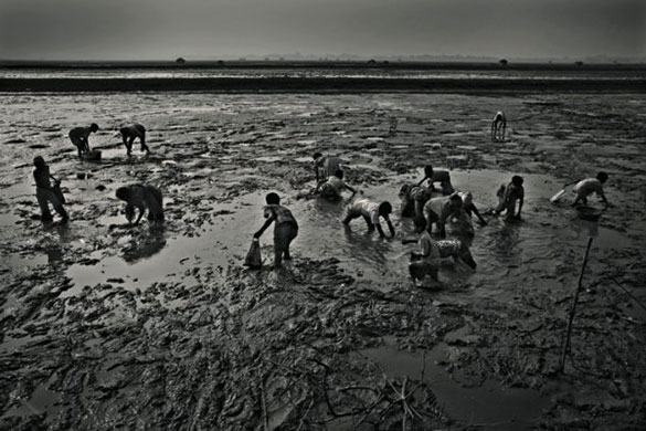 Oxfam auction: Photography Auction in aid of Oxfam’s Samoan Tsunami Appeal