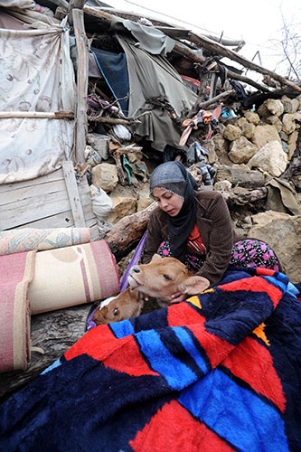 Turkey earthquake: A woman pets animals as she sits among debris in front of a destroyed barn 