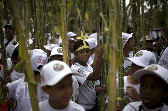 Holy week: Caracas, Venezuela: Children carry palm leaves in Palm Sunday services
