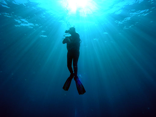 in pictures: hobbies: diver off the Mozambican coast