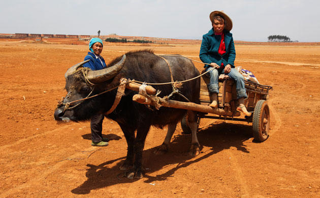 Drought in South China: Farmers suffer worst drought in hundred years, Yunnan