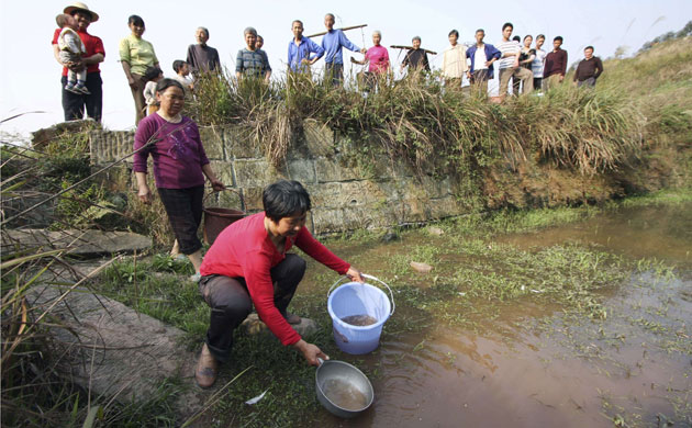 Drought in South China:  drought-hit Anxi village, Chongqing Municipality