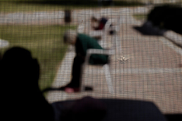 24 Hours in Pics: A Holocaust survivor sits in the yard of Shaar Menashe Mental Health Centre