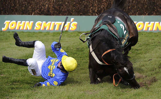 Grand National: Graham Lee falls off Bedlam Boy at the last in the Novice Chase