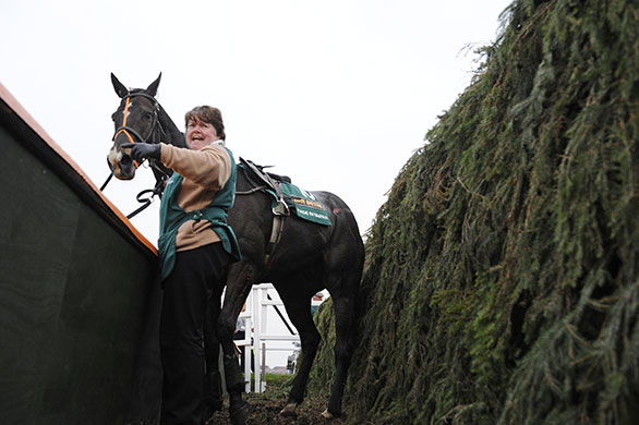 grand national: Loose horse Made in Taipan is rescued from the ditch in front of The Chair