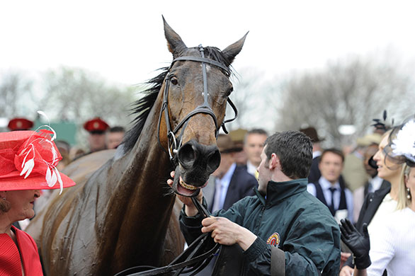 grand national: Don't Push It seems pleased with his afternoon's work