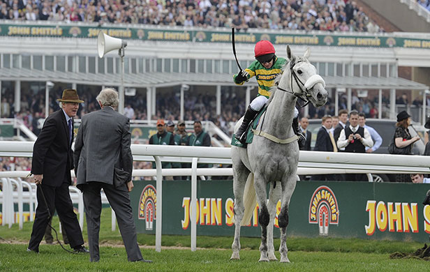 grand national: King Johns Castle refuses to start the race