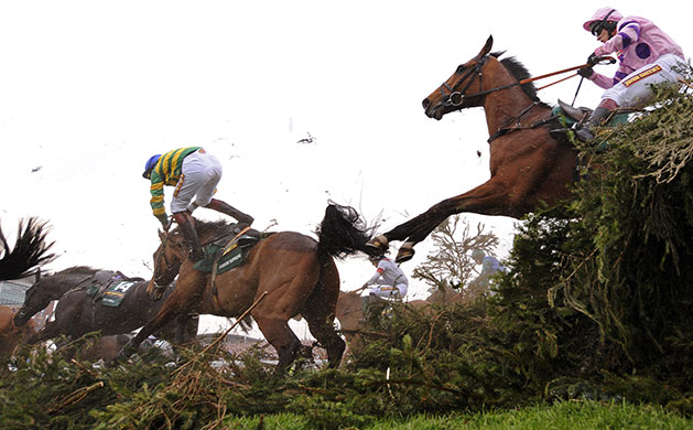 grand national: Paul Townend departs from Arbor Supreme seen from another angle