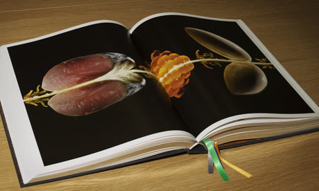Big Fat Duck Cookbook