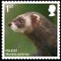 Mammals from the UK: Royal Mail's Action for Species series