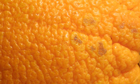 Orange-peel-001.jpg