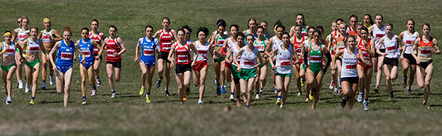 24sport: 2010 cross country