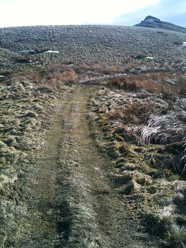 Show & Tell: Doves: hill