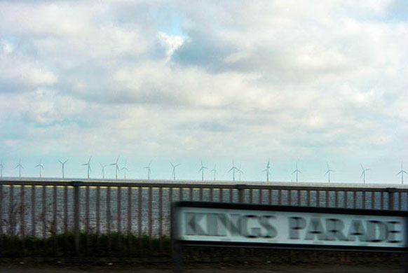 Gracieux Royall: Gracieux Royall participates in the capturing movement monthly assignment