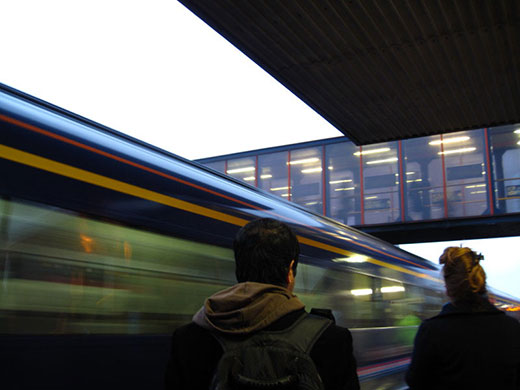 Jrwhippet's assignment: Jrwhippet participates in the capturing movement monthly assignment