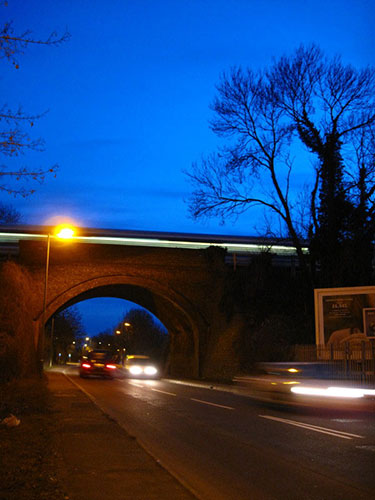 Jrwhippet's assignment: Jrwhippet participates in the capturing movement monthly assignment