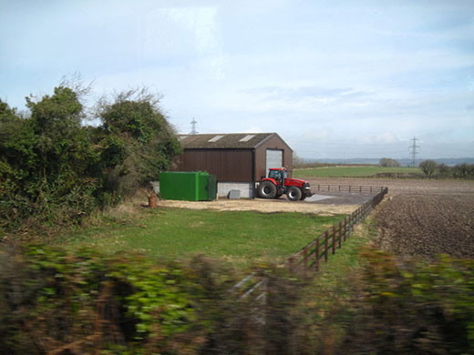 Jrwhippet's assignment: Jrwhippet participates in the capturing movement monthly assignment