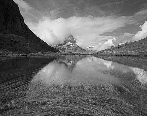 Tantris88's portfolio: A review of Tantris88's portfolio