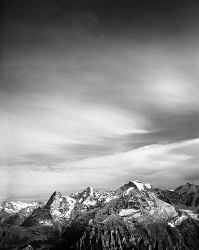 Tantris88's portfolio: A review of Tantris88's portfolio