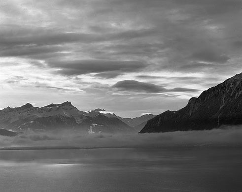 Tantris88's portfolio: A review of Tantris88's portfolio