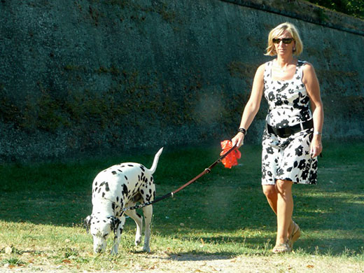 In Pictures: Pattern: dalmation and owner