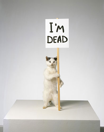 Exhibitionist 17/04: Glasgow International Festival of Visual Art