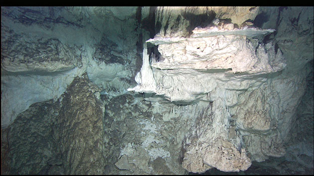 Census Marine Life: Census of Hard-to-See Marine Life : Lost City