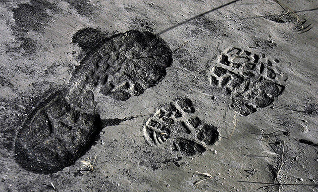 http://static.guim.co.uk/sys-images/Guardian/Pix/pictures/2010/4/17/1271495960805/Footprints-in-Ash-006.jpg