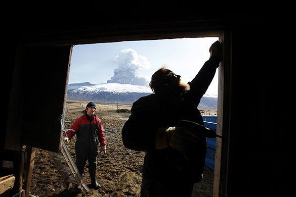Volcano in Iceland: Sheep farmer Thorkell Eiriksson works to seal a sheep barn