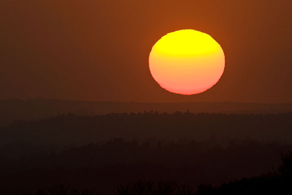Volcanic sunsets: The sun sets over Epsom Down in south west London
