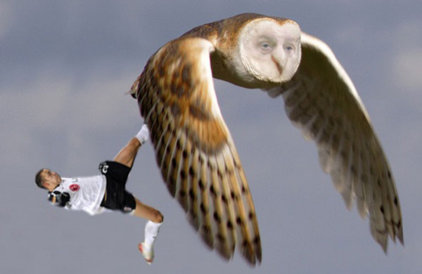 The Gallery: Roy Hodgson: The Gallery: Roy Hodgson 3