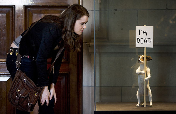 David Shrigley's Dead Dog