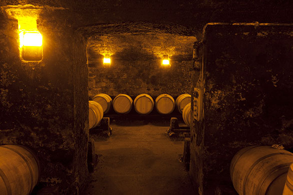 Wine tasting in Bordeaux: The Chais (wine cellars) at Château Beychevelle in Bordeaux