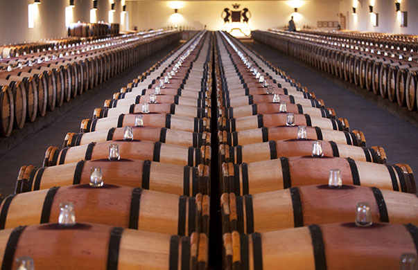 Wine tasting in Bordeaux: The Chais (wine cellar) at  Château Mouton Rothschild, Bordeaux