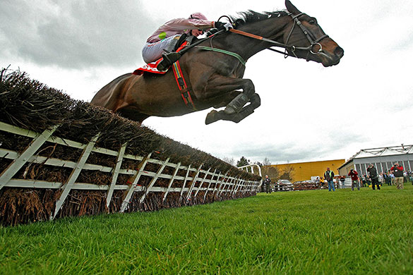 24sport: Blackstairmountain wins the Punchestown Champion Novice Hurdle