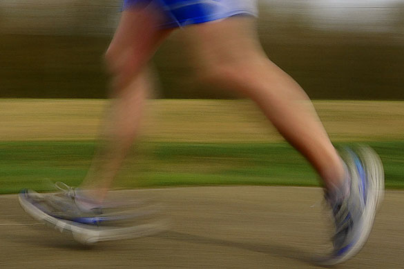 Puppkin's assignment: Puppkin participates in the capturing movement monthly assignment