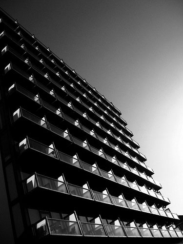 Steevie Wanders: A review of Steevie Wanders' portfolio