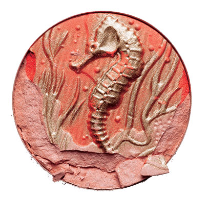 Lauren Luke's cool corals: Lauren Luke's cool corals