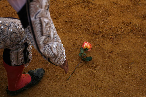 24 hours in pictures: bullfight in The Maestranza bullring 