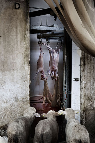 Sony World Photography: L’Iris d’Or/ Professional Contemporary Issues winner: Tommaso Ausili 