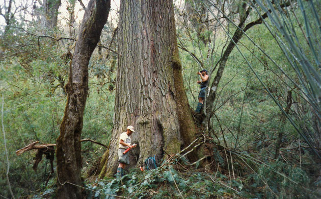 Week in Wildlife: tree ring researchers Edward Cook and Paul Krusic in Nepal