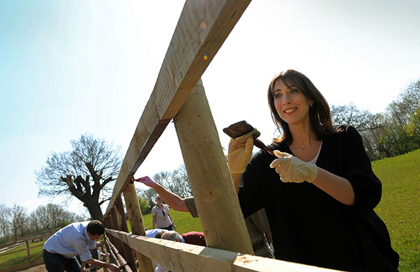 Election campaign, week 3: Election campaign, week three