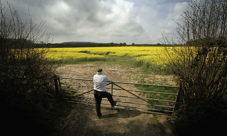 British countryside turns yellow as spring blooms
