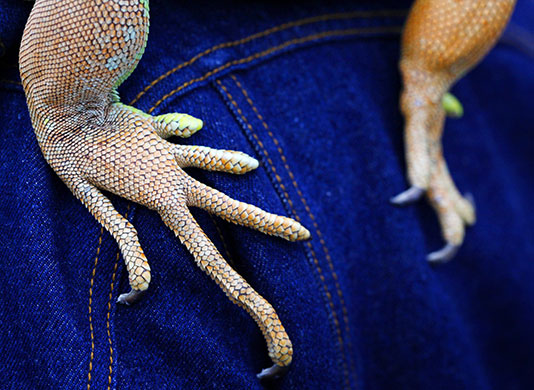 24 hours in pictures: 24 hours in pictures