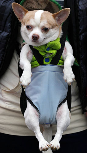 24 hours in pictures: 24 hours in pictures