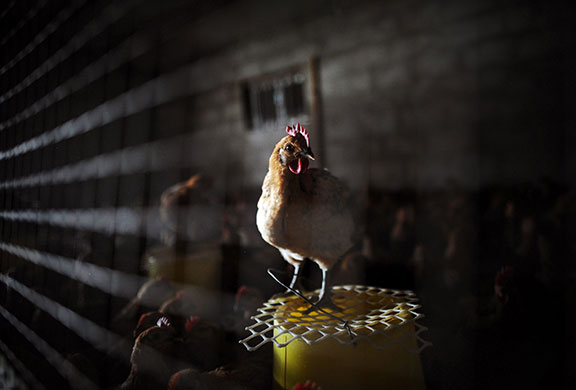 24 hours in pictures: 24 hours in pictures