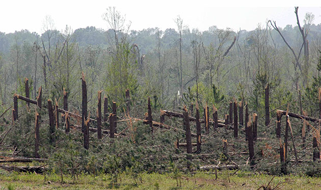 mississippi tornado: Tornado tears through Mississippi killing 10 people